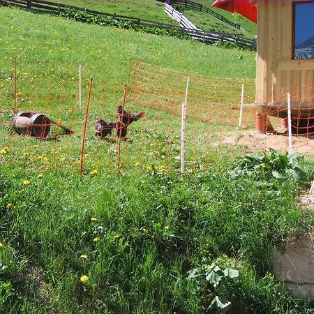 Farm stay Oberauhof Kleinarl