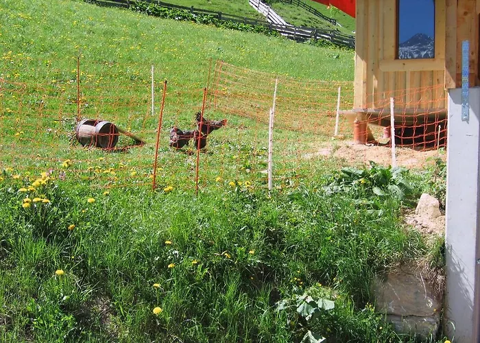 Vakantieboerderij Oberauhof Kleinarl